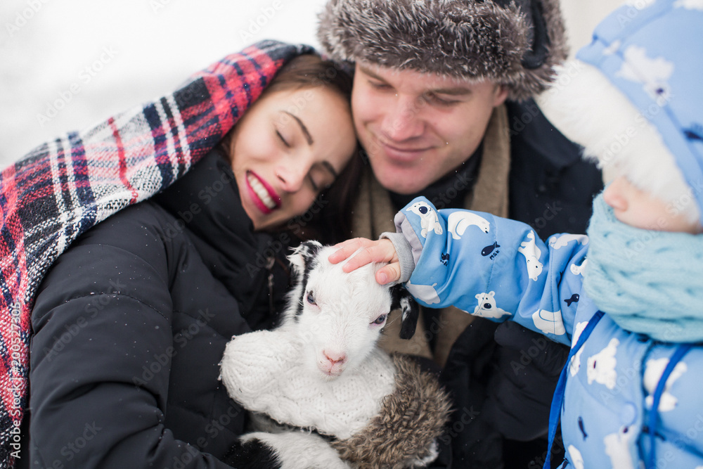 Portrait of the young couple which holding the little goat in arms and them cute little son stroking it outdoors Portrait of the young couple which holding the little goat in arms and them cute little son stroking it outdoors