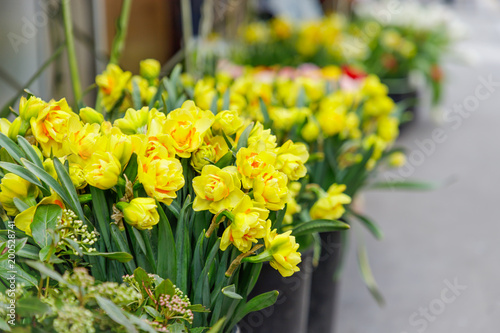 Fototapeta Naklejka Na Ścianę i Meble -  Flower shop in Paris, France. Spring yellow daffodils