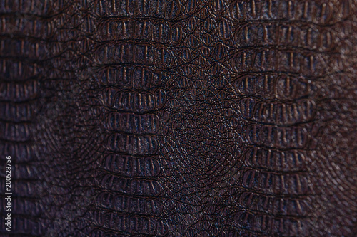 A Crocodile Texture Leather, Dark Brown Background photo