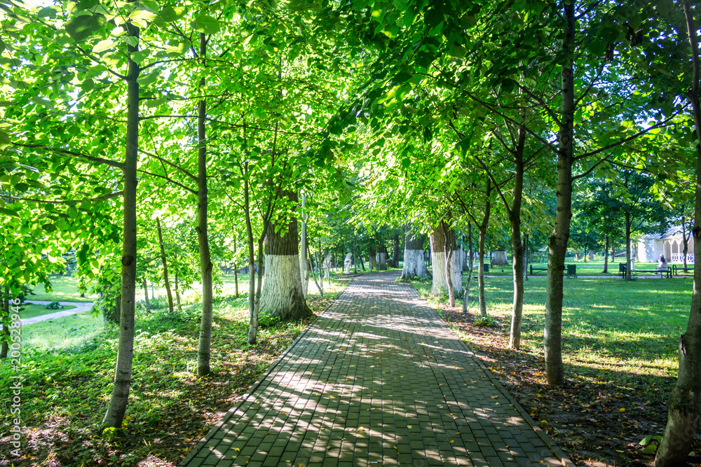 Fototapeta premium Stary park-dwór Belkino letni dzień