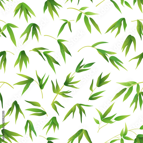 Exotic Seamless Pattern  Tropical Bamboo Plants Branches with Green Leaves Isolated on Tile White Background. Vector