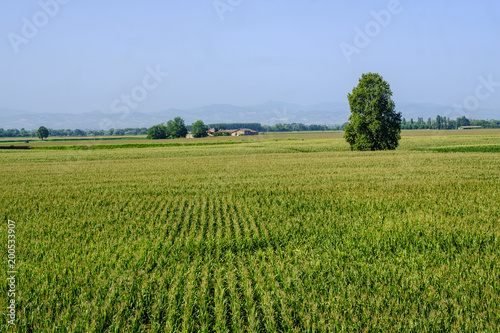 Rural landscape along the Po cycle path