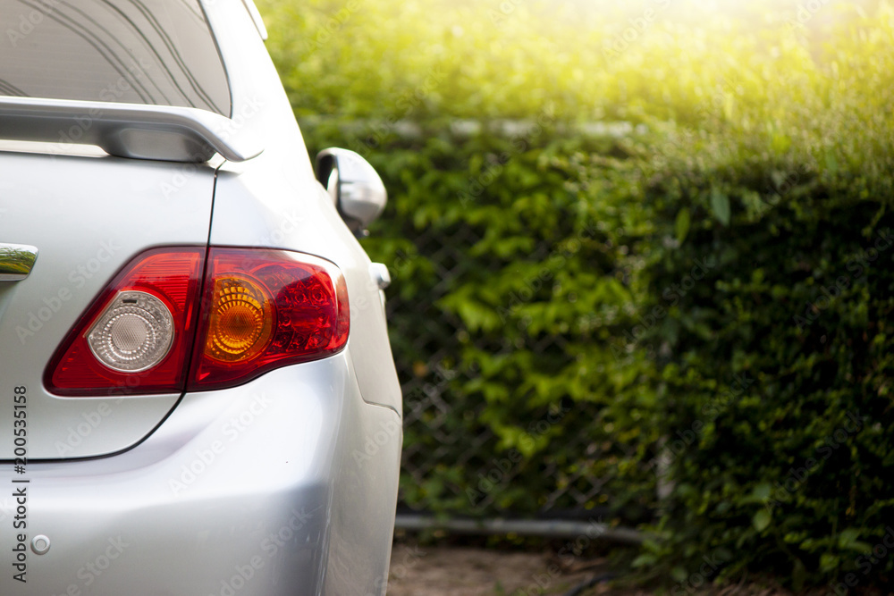 Fototapeta premium Back view of car park relax with nature of tree in garden.
