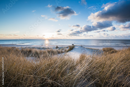 Winter dunes