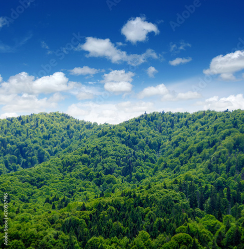 Mountain landscape summer