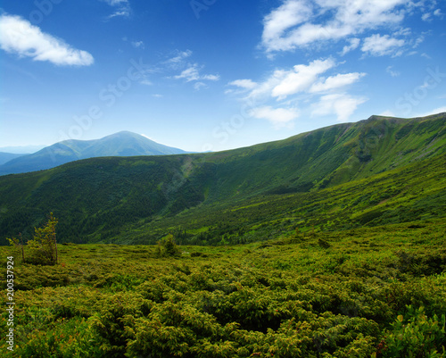 Mountain landscape in summer