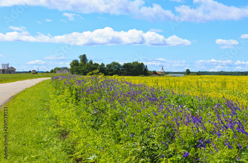 Rural road in the village.