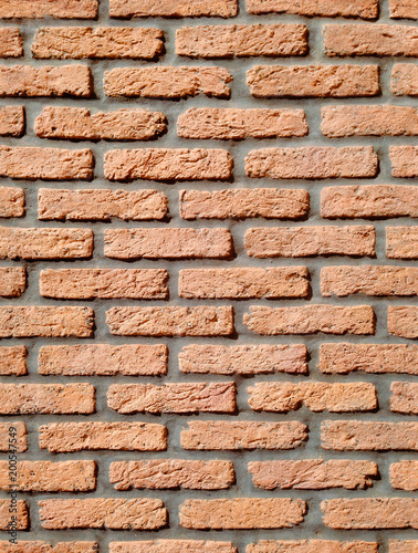 Bricks. Seamless texture with a brick wall.
