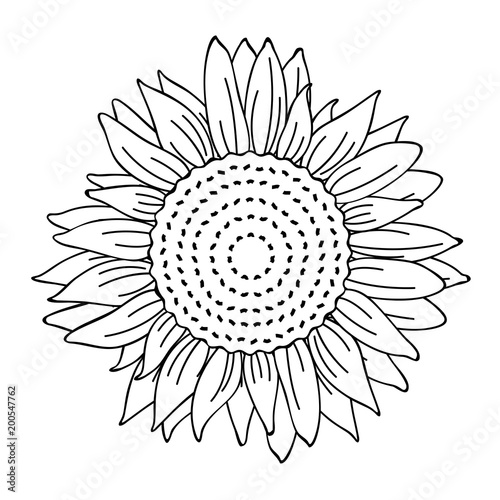 Fototapeta Naklejka Na Ścianę i Meble -  Ausmalbild Sonnenblume