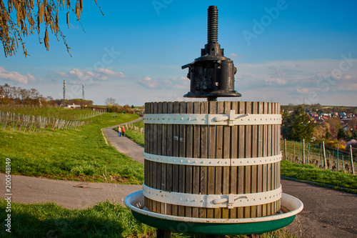 Ταπετσαρία wine press in the vineyards of Mainz-Hechtsheim, Germany