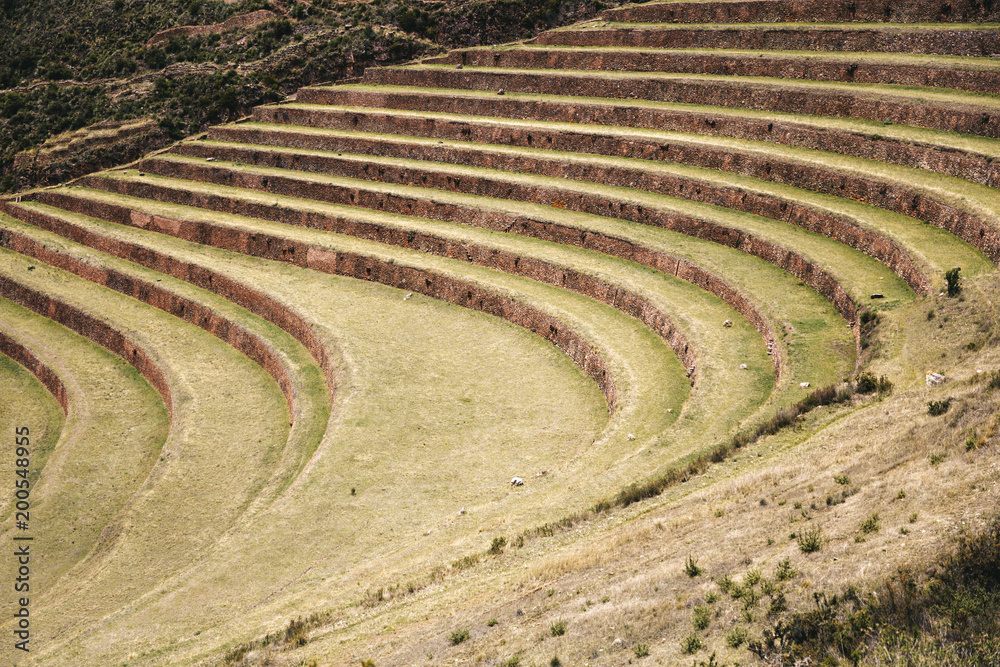 Agricultural terraces in Pisac, Peru