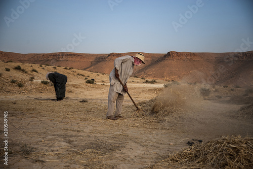 Berberian farmers