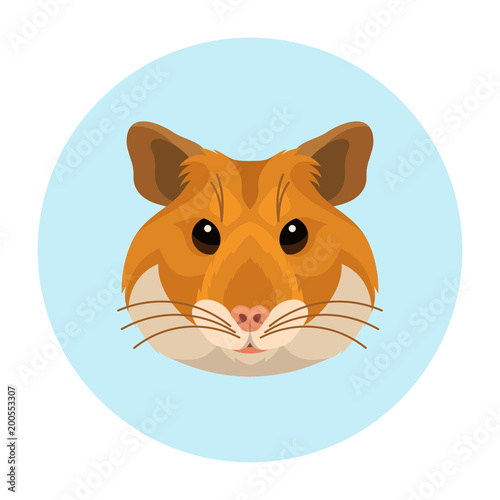 Vector cute hamster face pet icon