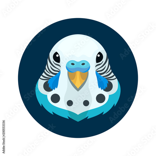 Vector pretty budgerigar parrot head bird icon