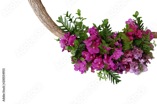 Fototapeta Naklejka Na Ścianę i Meble -  Tropical leaves and purple vanda orchid flowers, floral arrangement on tree twig isolated on white background, clipping path included.