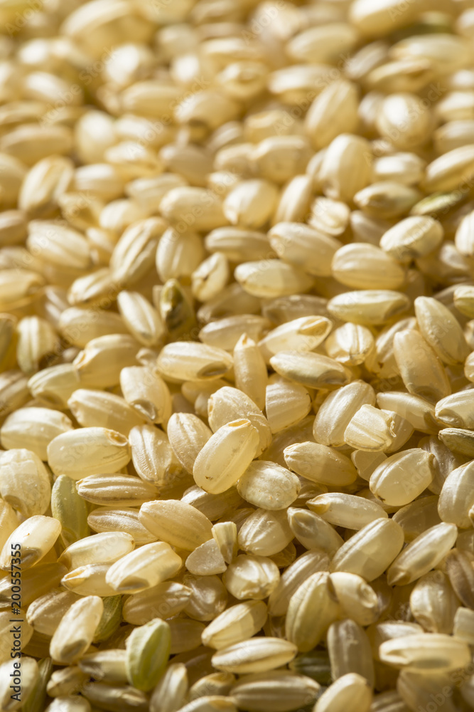 Obraz premium Raw Organic Short Grain Brown Rice