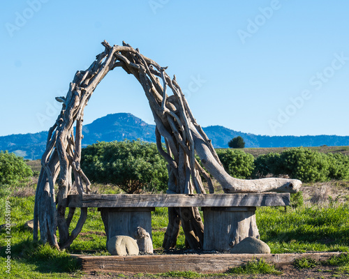 Fiscalini Ranch Preserve in Cambria California scenes