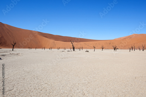 Deadvlei  Sossusvlei Namibia