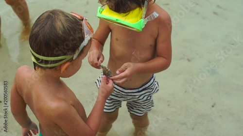 Slowmotion shot of little boys dyving in a sea catching red starfishes photo