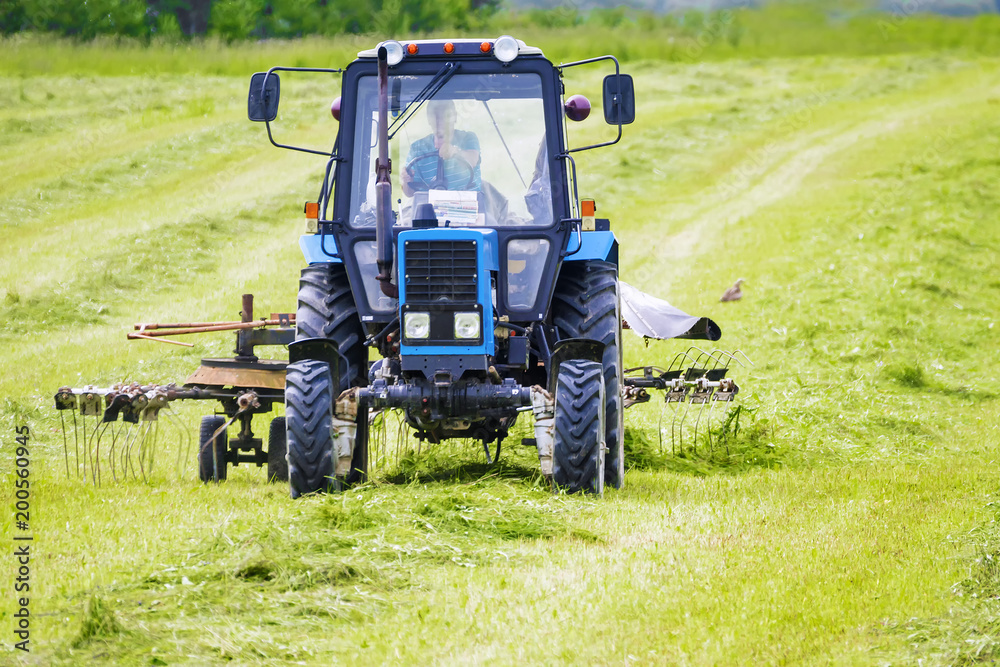 Obraz premium the tractor in the field with turns the hay on drying