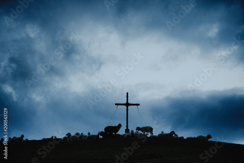 A silhuette of sheep on a cross at dawn.