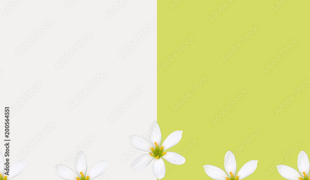 stock-photo-sale-green-background-spring-concept
