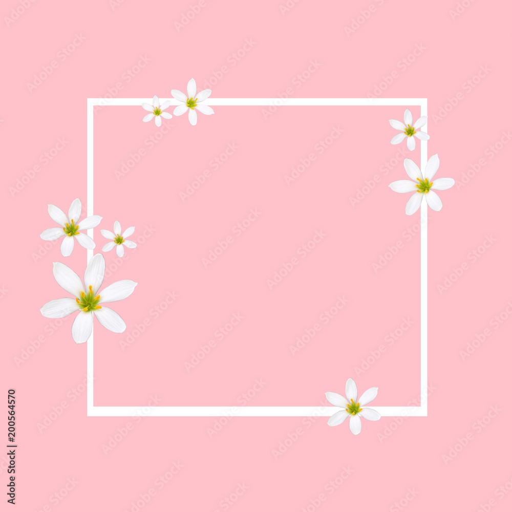 stock-photo-spring-background-pink-color-banner-with-white-flowers-special-offer stock-photo-spring-background-pink-color-banner-with-white-flowers-special-offer
