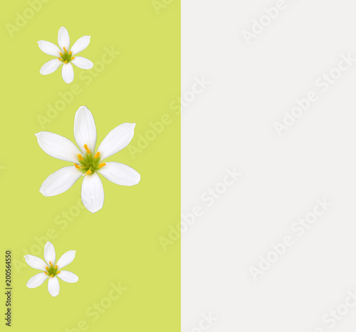 stock-photo-sale-green-background-spring-banner-from-flowers