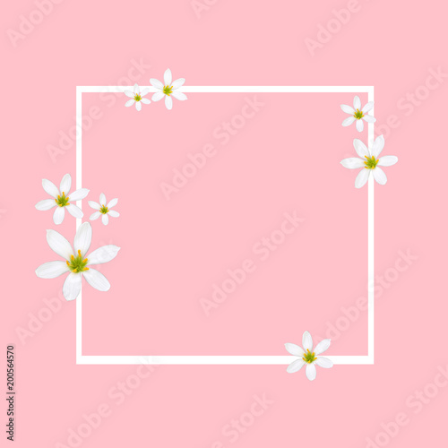 stock-photo-spring-background-pink-color-banner-with-white-flowers-special-offer