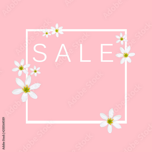 stock-photo-spring-background-sale-pink-color-from-white-flowers-sale-concept-banner-discount