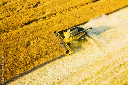 Aerial view of summer harvest. Combine harvester harvesting large field. Agriculture from drone view. Czech republic, European union.