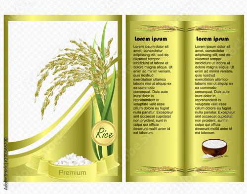 Rice package. Vector template in golden colors for packaging design, A4 format, transparent background.