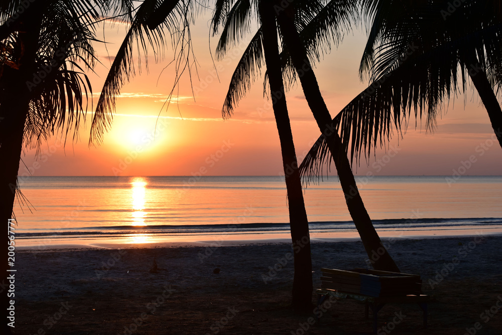 Beautiful Silhouette coconut palm tree