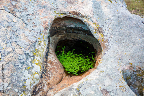 Sacred stones in the area of the village of Krasnogorye. The nature monument 