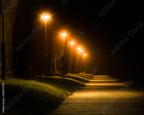 Fototapeta Naklejka Na Ścianę i Meble -  foggy evening photo of a walkway with lamp posts