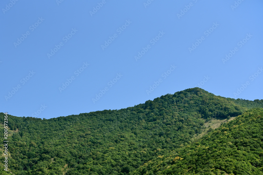 Beautiful mountains with peaks and blue sky. The mountains are covered with dense vegetation and trees