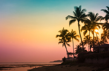 Keuken achterwand Strand zonsondergang Kleurrijk tropisch strand in avondlicht  © kieferpix