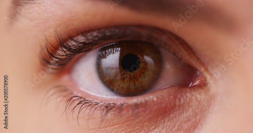 Obraz na plátne Extreme close up of Caucasian millennial's iris