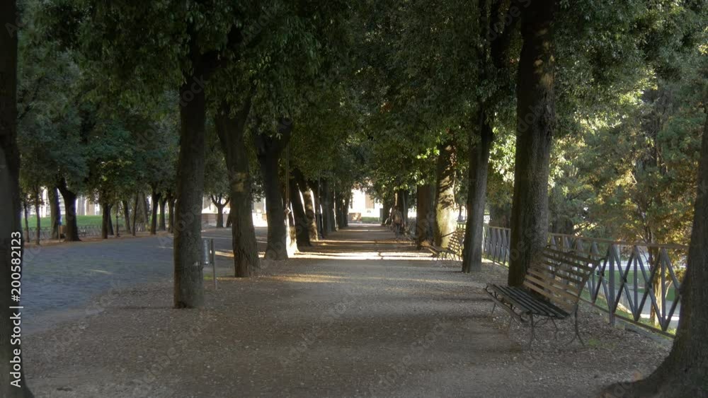Park Park