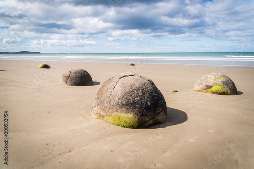 Tablou pe pânză Moeraki Boulders on a beach in New Zealand.