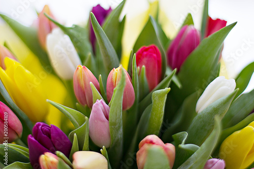 A beautiful fresh bouquet of tulips