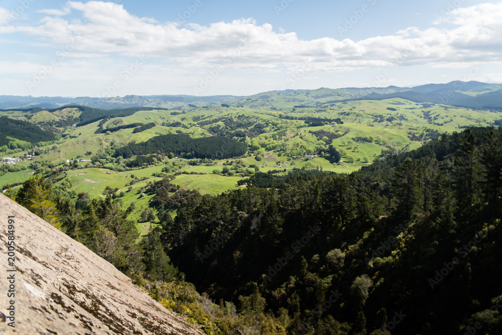 Naklejka premium A green landscape view of hills and forests in new Zealand. 
