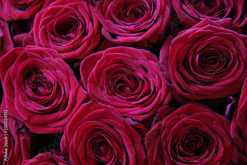 Beautiful background of red roses