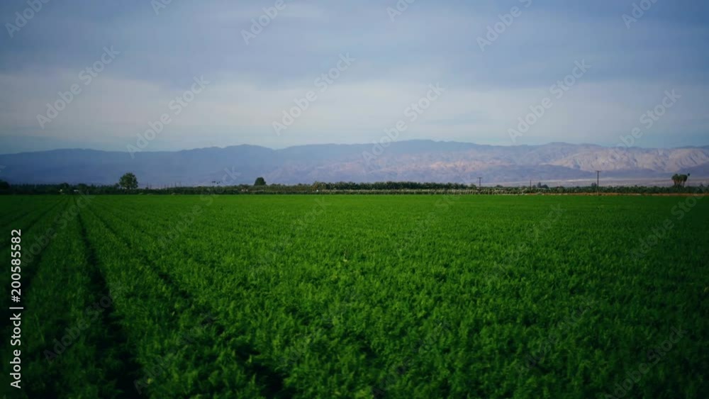 Farm Crops in the Desert Farm Crops in the Desert