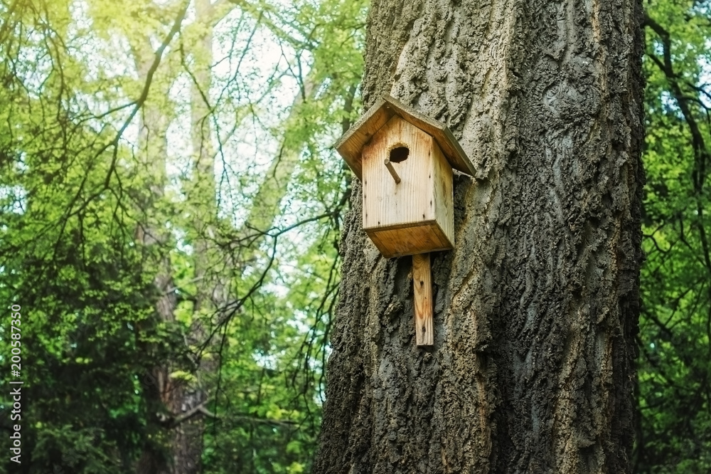 Birdhouse on a tree in the spring Park. Birdhouse on a tree in the spring Park.