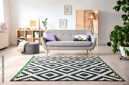 Modern living room interior with stylish sofa and carpet photo