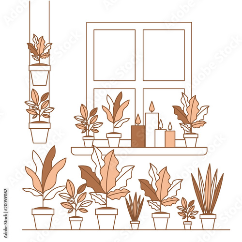 group of houseplants home decorations