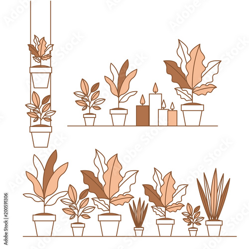 group of houseplants home decorations