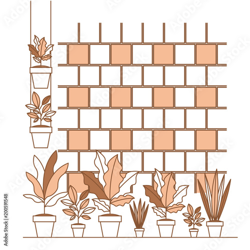 group of houseplants home decorations