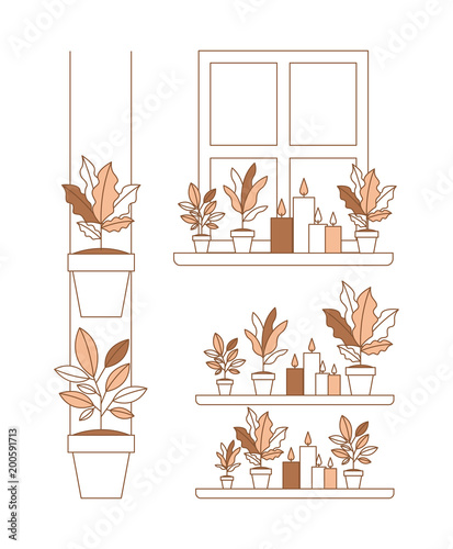 group of houseplants home decorations